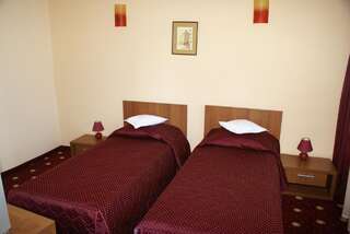 Отель Hotel Ferdinand Констанца Двухместный номер с 1 кроватью или 2 отдельными кроватями-4